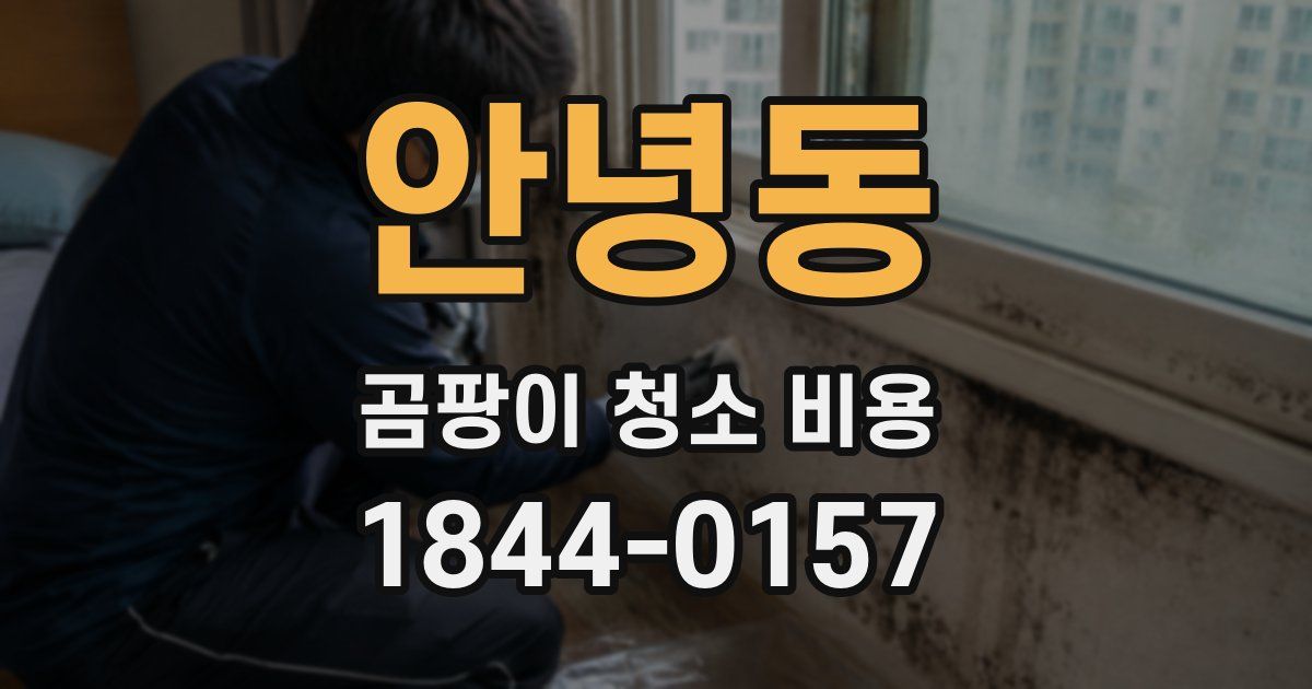 안녕동 곰팡이 청소 비용