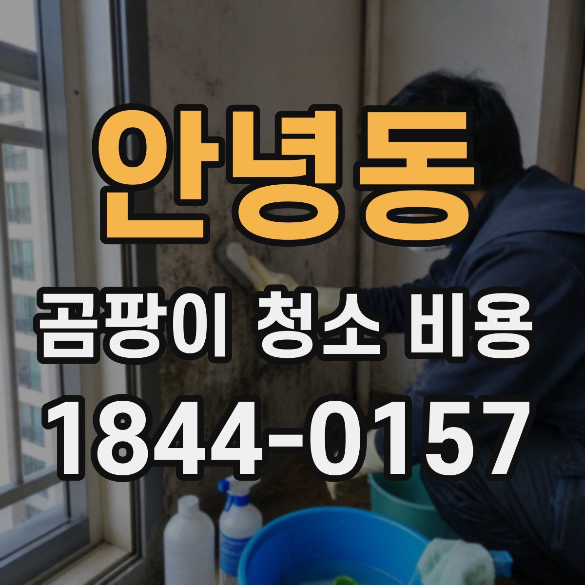 안녕동 곰팡이 청소 비용
