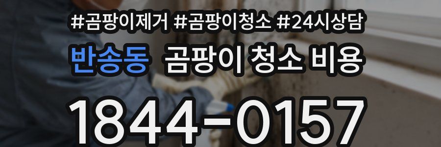 반송동 곰팡이 청소 비용