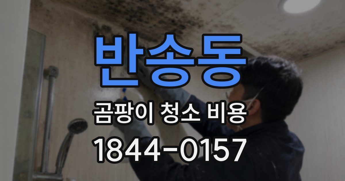 반송동 곰팡이 청소 비용