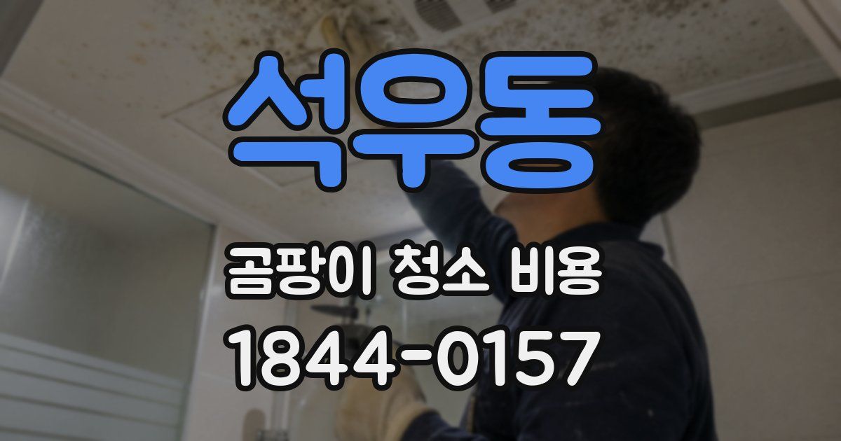 석우동 곰팡이 청소 비용