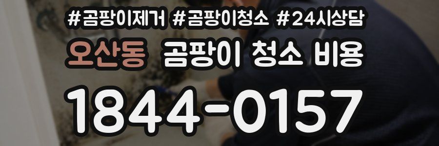 오산동 곰팡이 청소 비용