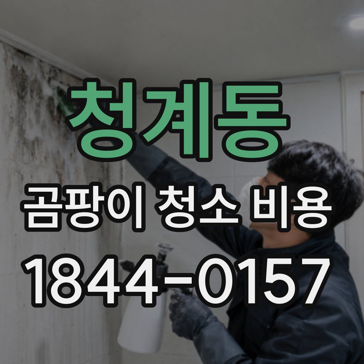 청계동 곰팡이 청소 비용