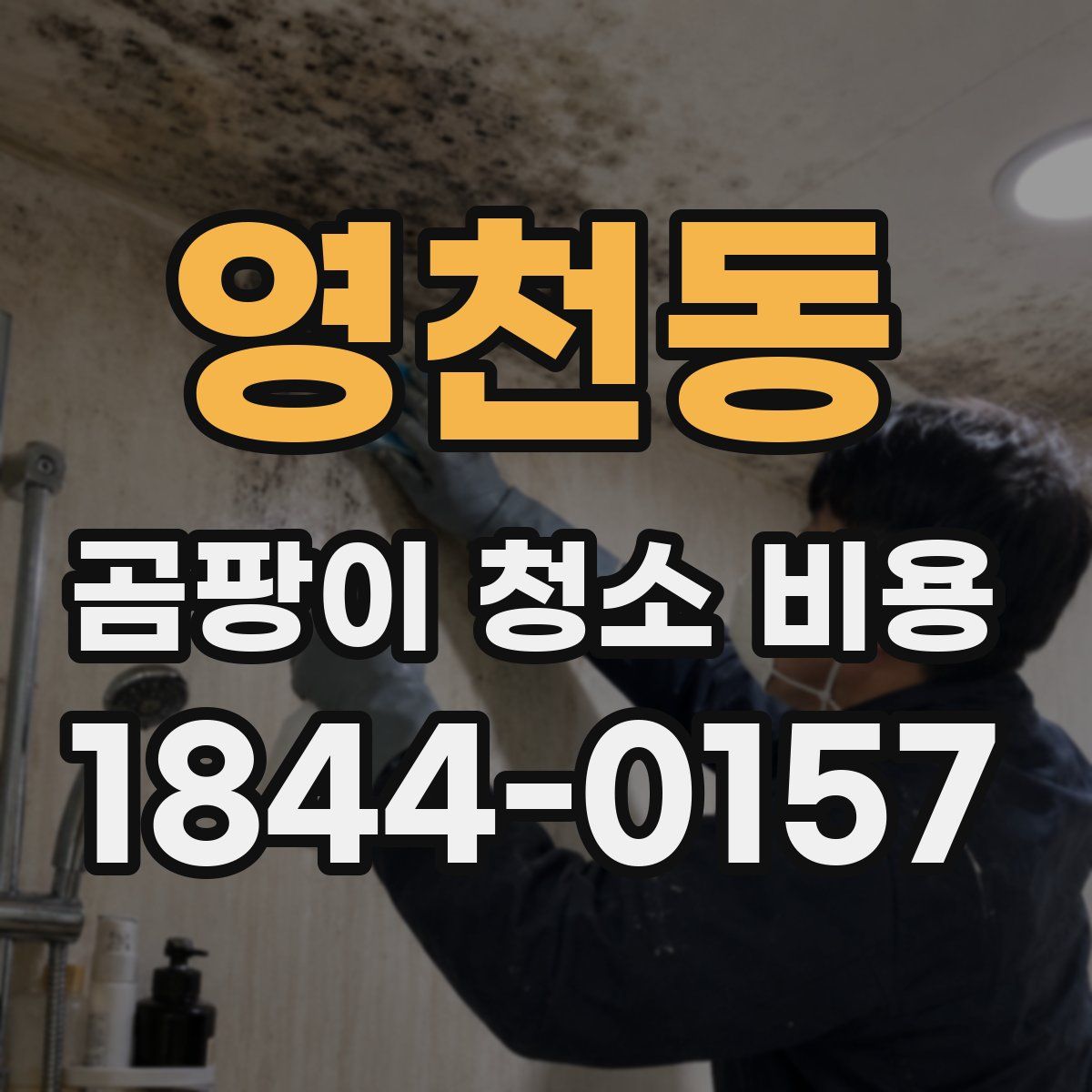 영천동 곰팡이 청소 비용