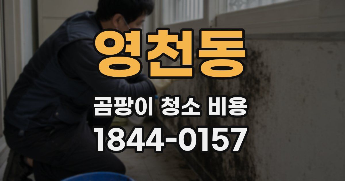 영천동 곰팡이 청소 비용