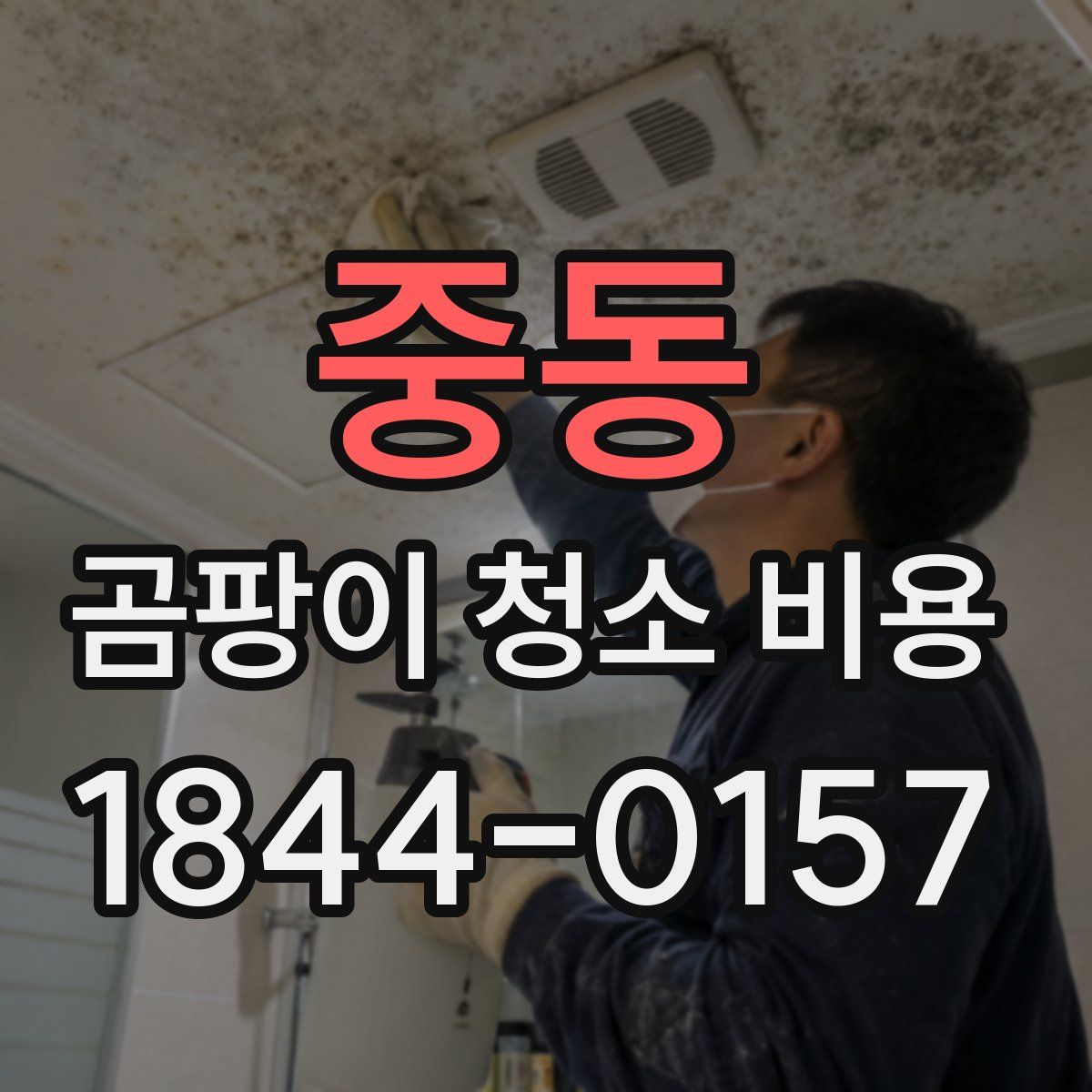 중동 곰팡이 청소 비용