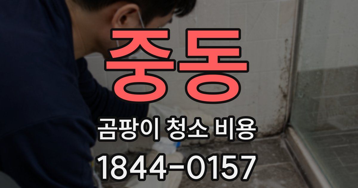 중동 곰팡이 청소 비용