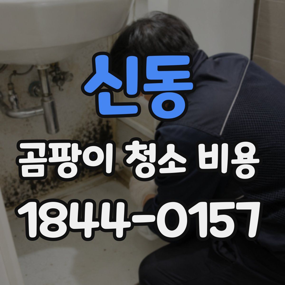 신동 곰팡이 청소 비용