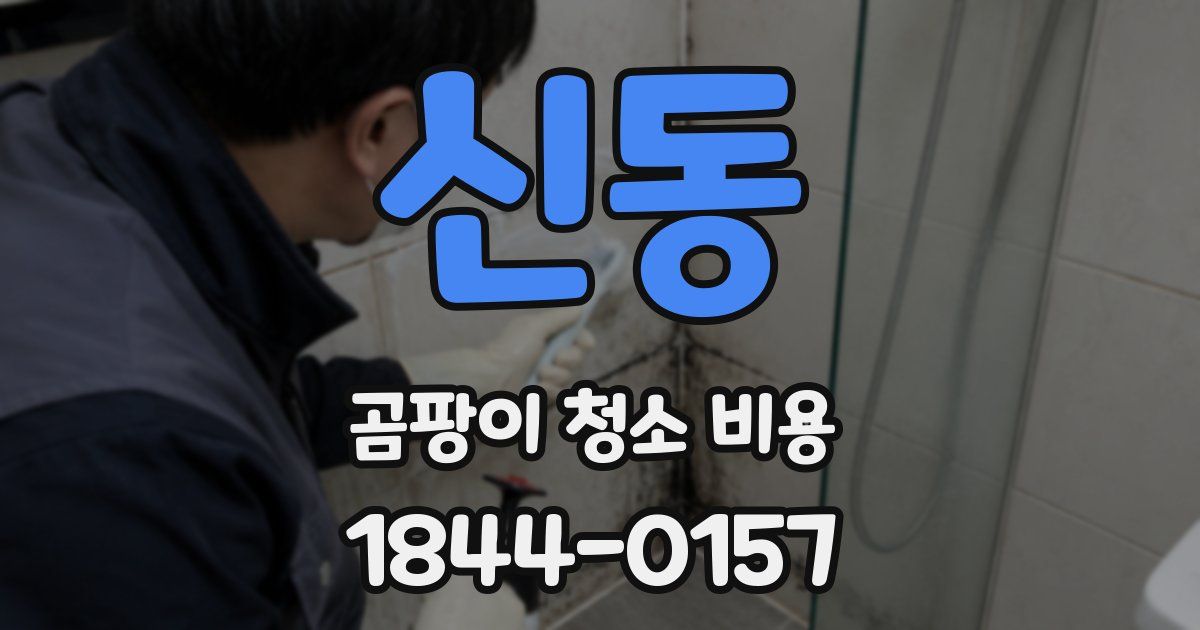 신동 곰팡이 청소 비용