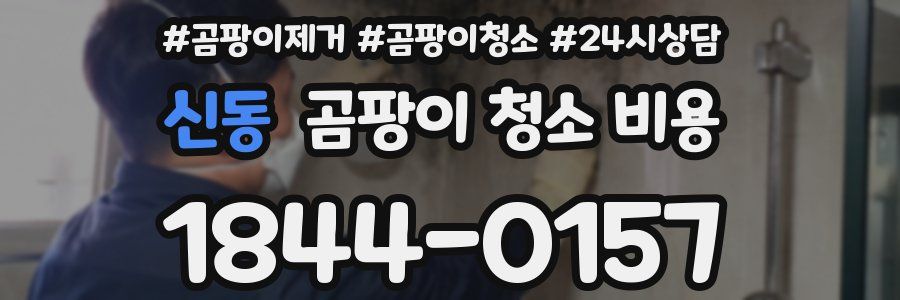 신동 곰팡이 청소 비용