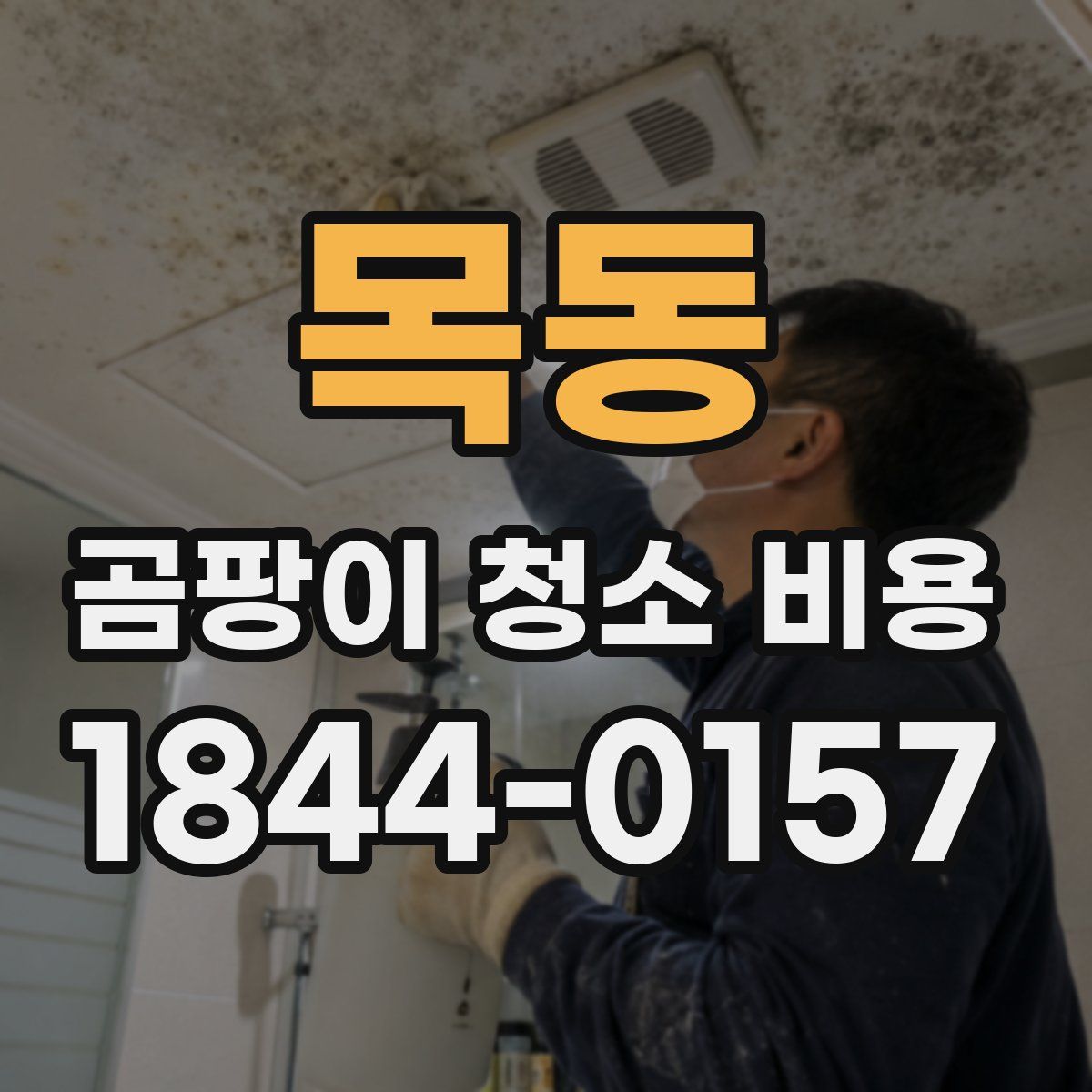 목동 곰팡이 청소 비용