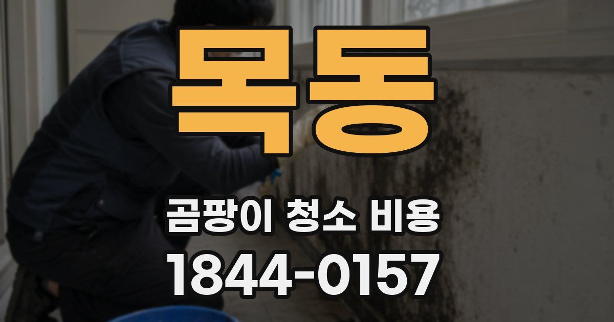 목동 곰팡이 청소 비용