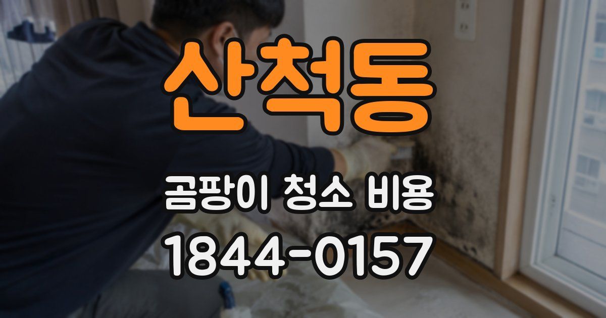 산척동 곰팡이 청소 비용