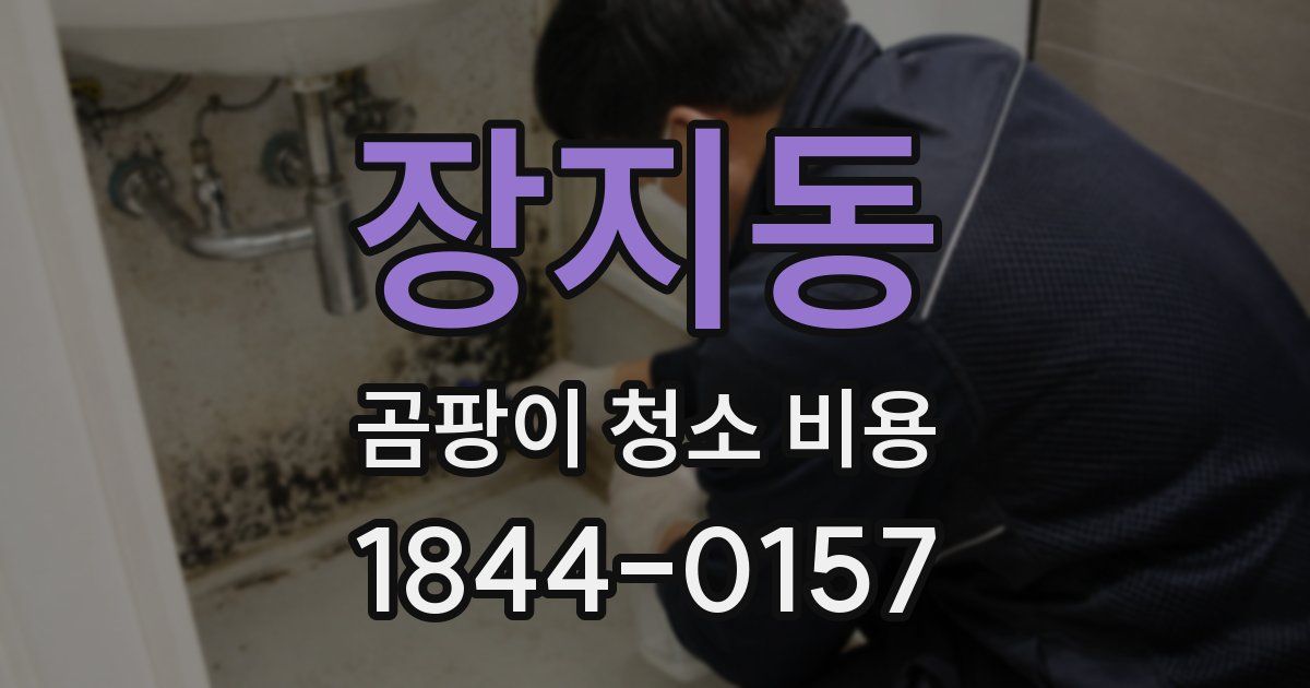 장지동 곰팡이 청소 비용
