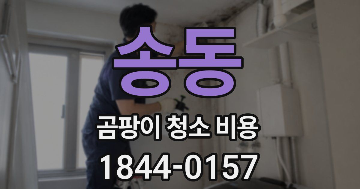 송동 곰팡이 청소 비용