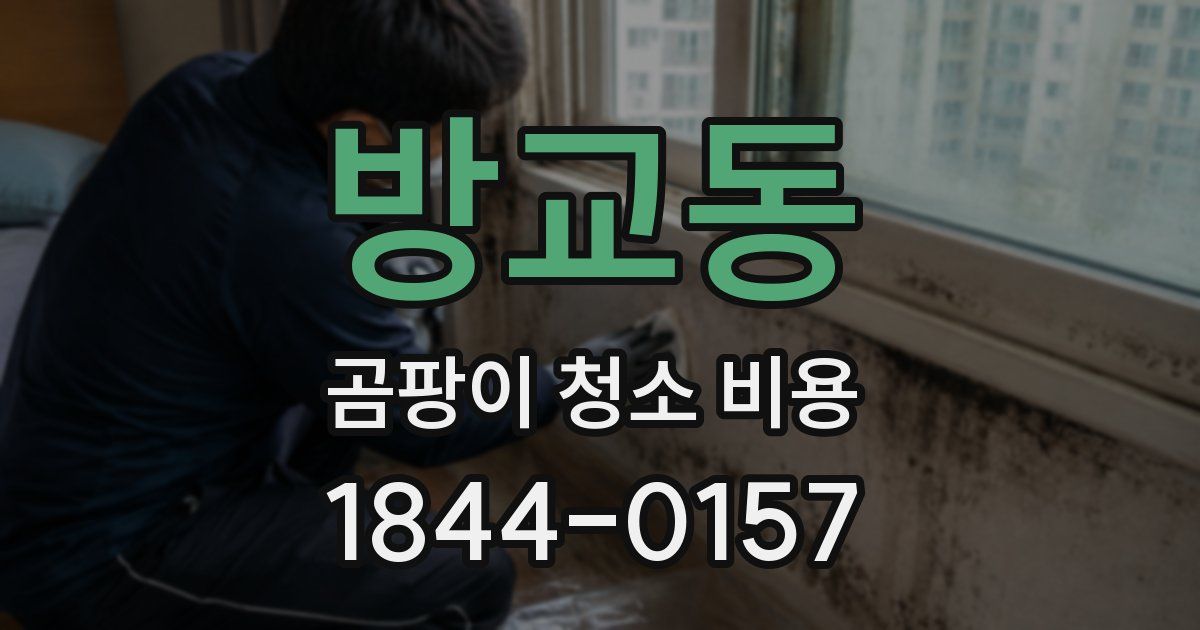 방교동 곰팡이 청소 비용