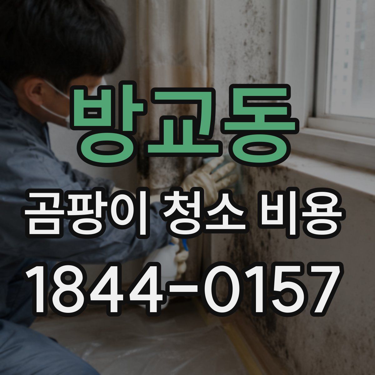 방교동 곰팡이 청소 비용