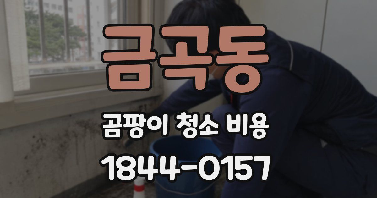 금곡동 곰팡이 청소 비용