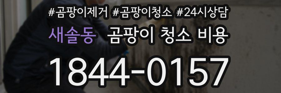 새솔동 곰팡이 청소 비용