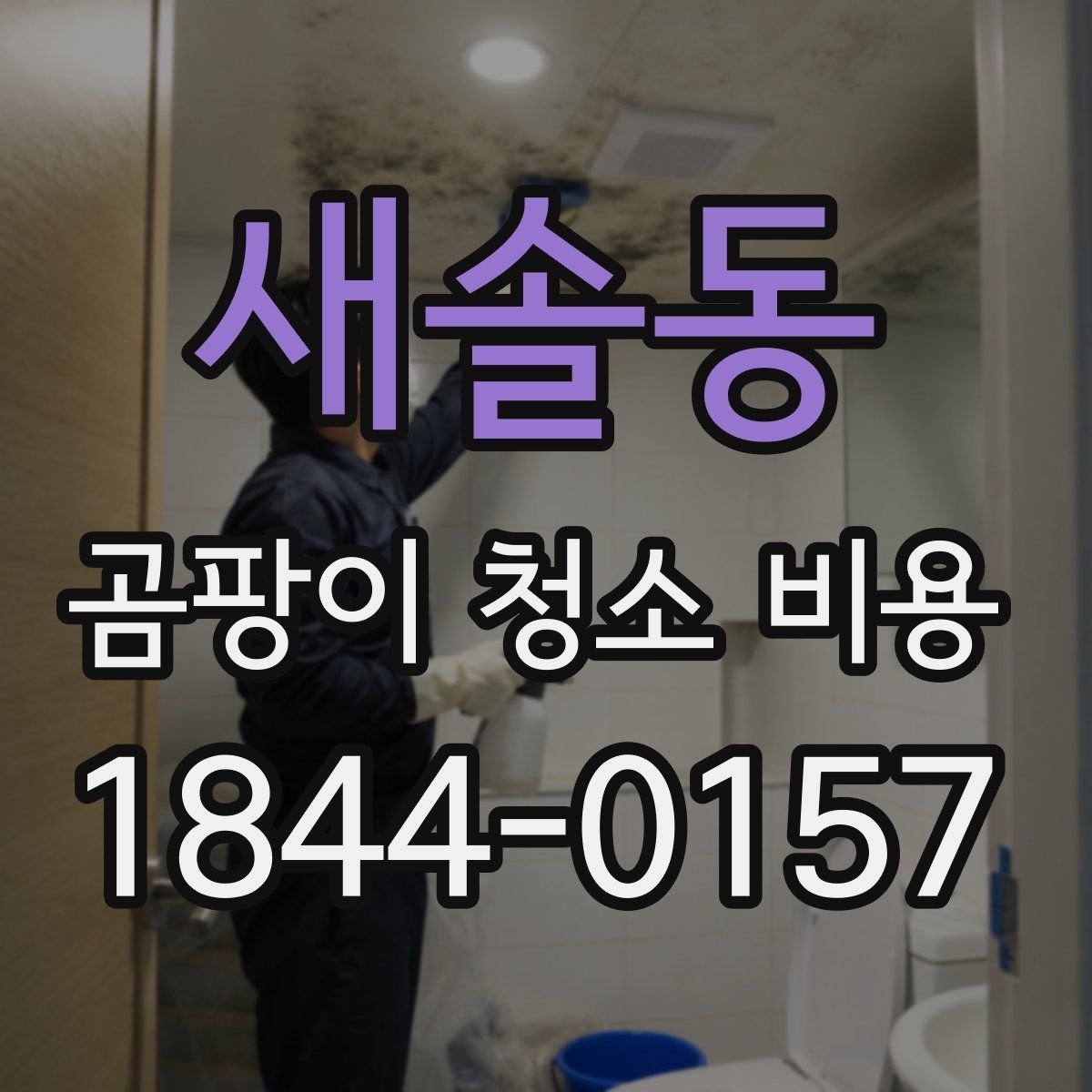 새솔동 곰팡이 청소 비용