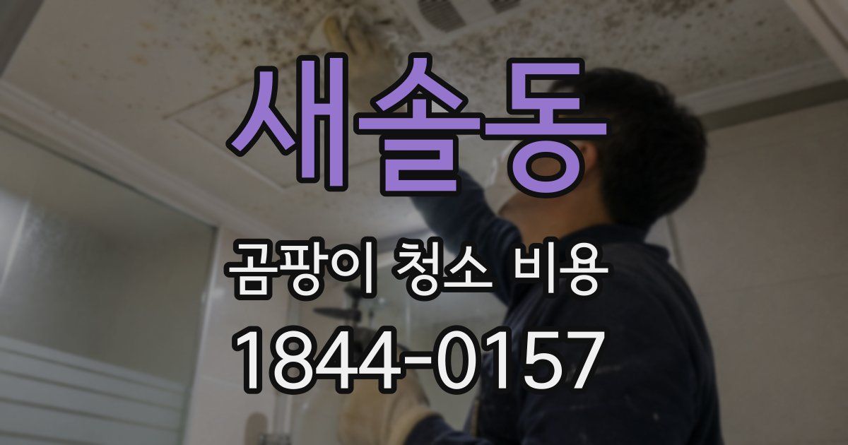 새솔동 곰팡이 청소 비용