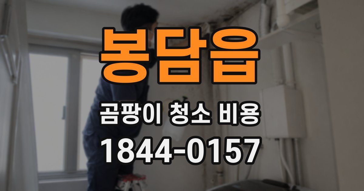 봉담읍 곰팡이 청소 비용