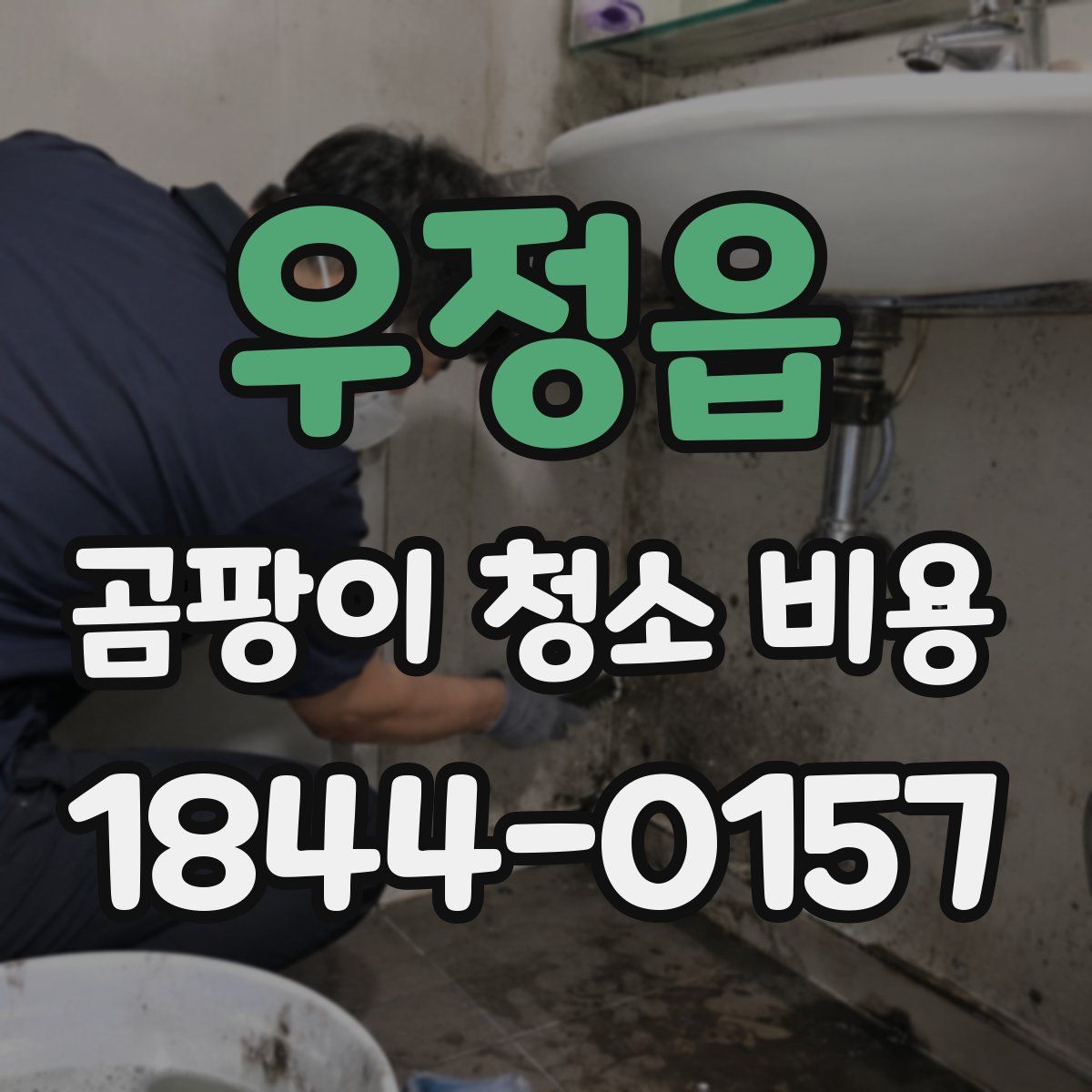 우정읍 곰팡이 청소 비용