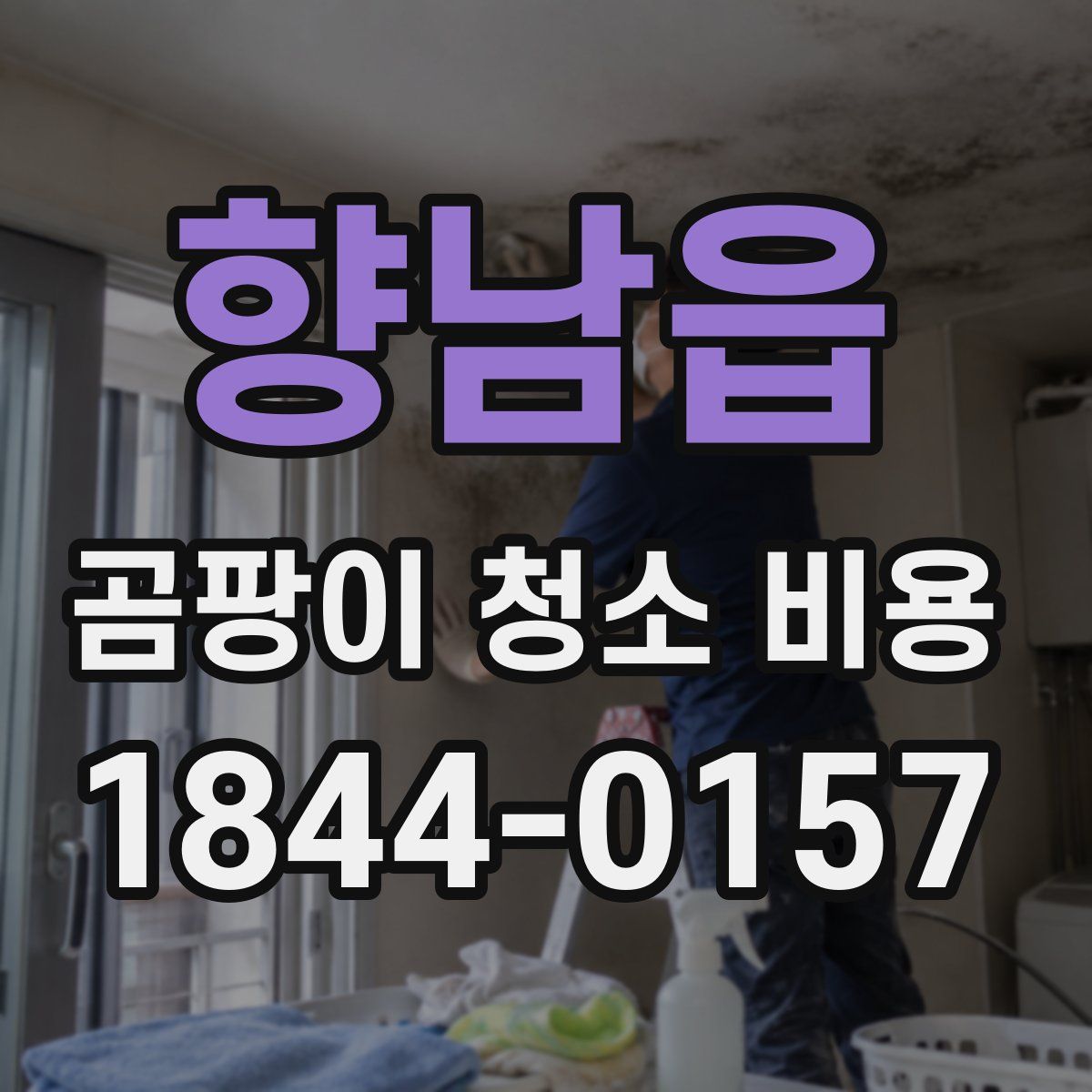 향남읍 곰팡이 청소 비용