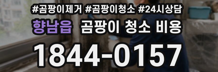향남읍 곰팡이 청소 비용