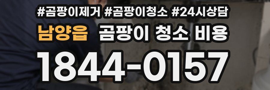 남양읍 곰팡이 청소 비용