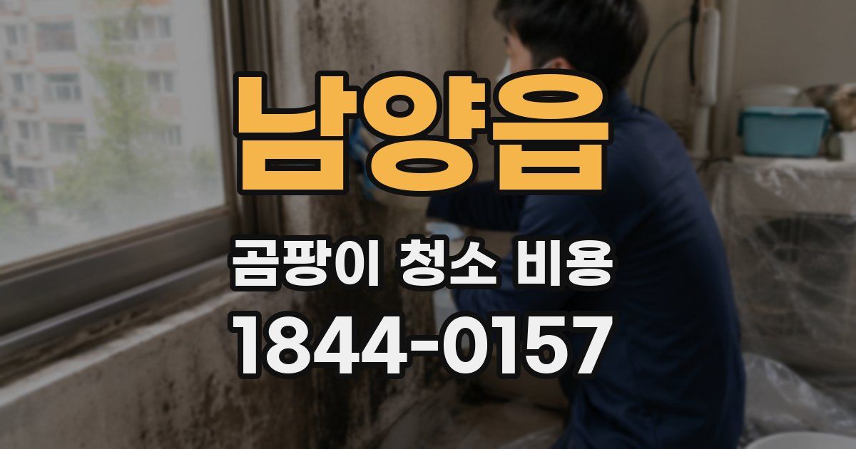 남양읍 곰팡이 청소 비용