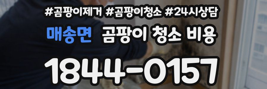 매송면 곰팡이 청소 비용