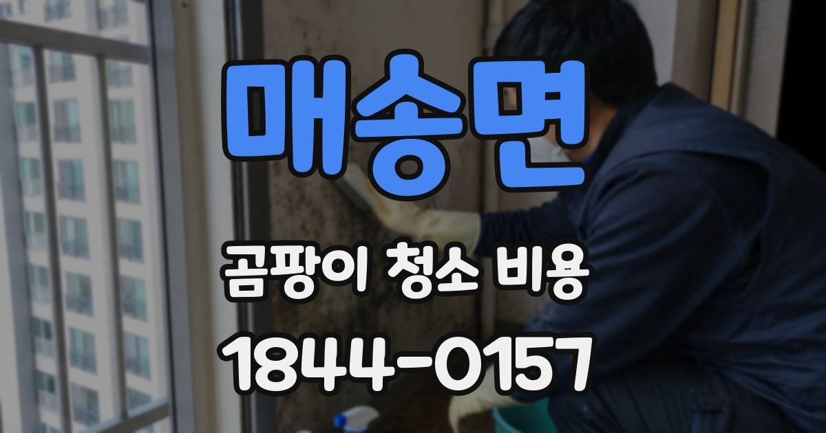 매송면 곰팡이 청소 비용