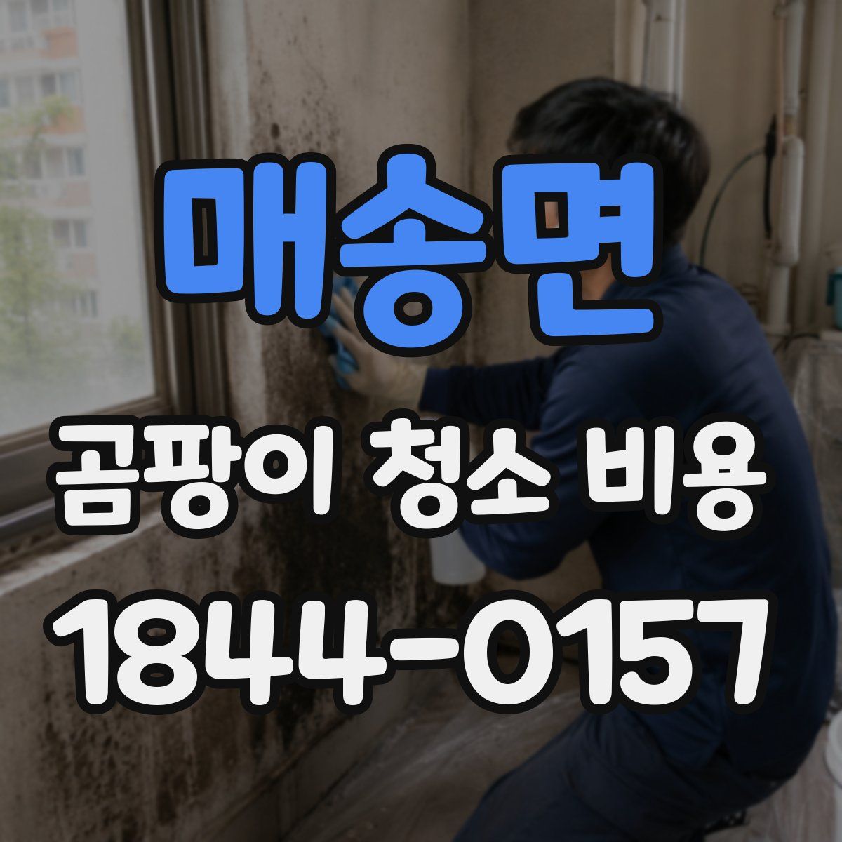 매송면 곰팡이 청소 비용
