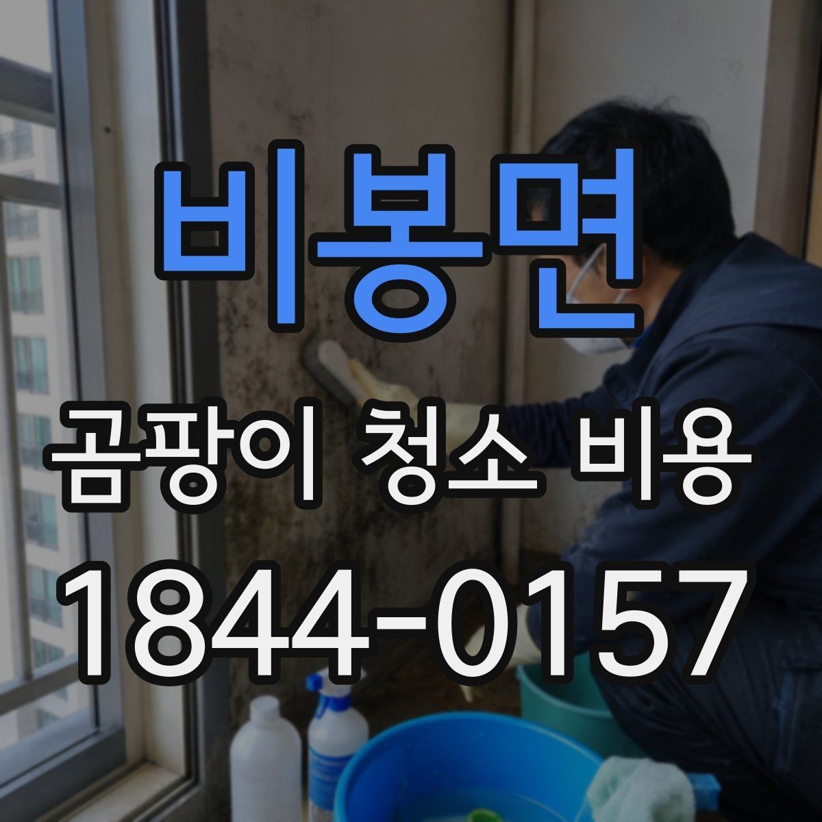 비봉면 곰팡이 청소 비용 세입자와 집주인 분담은 어떻게 나뉠까