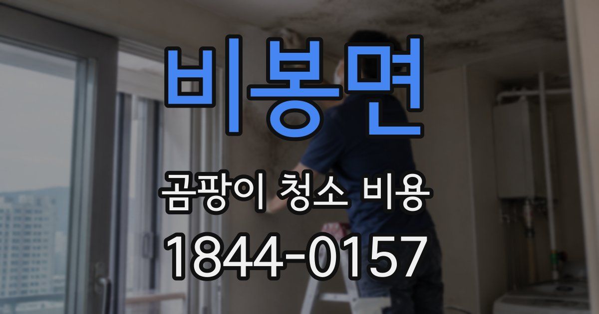 비봉면 곰팡이 청소 비용