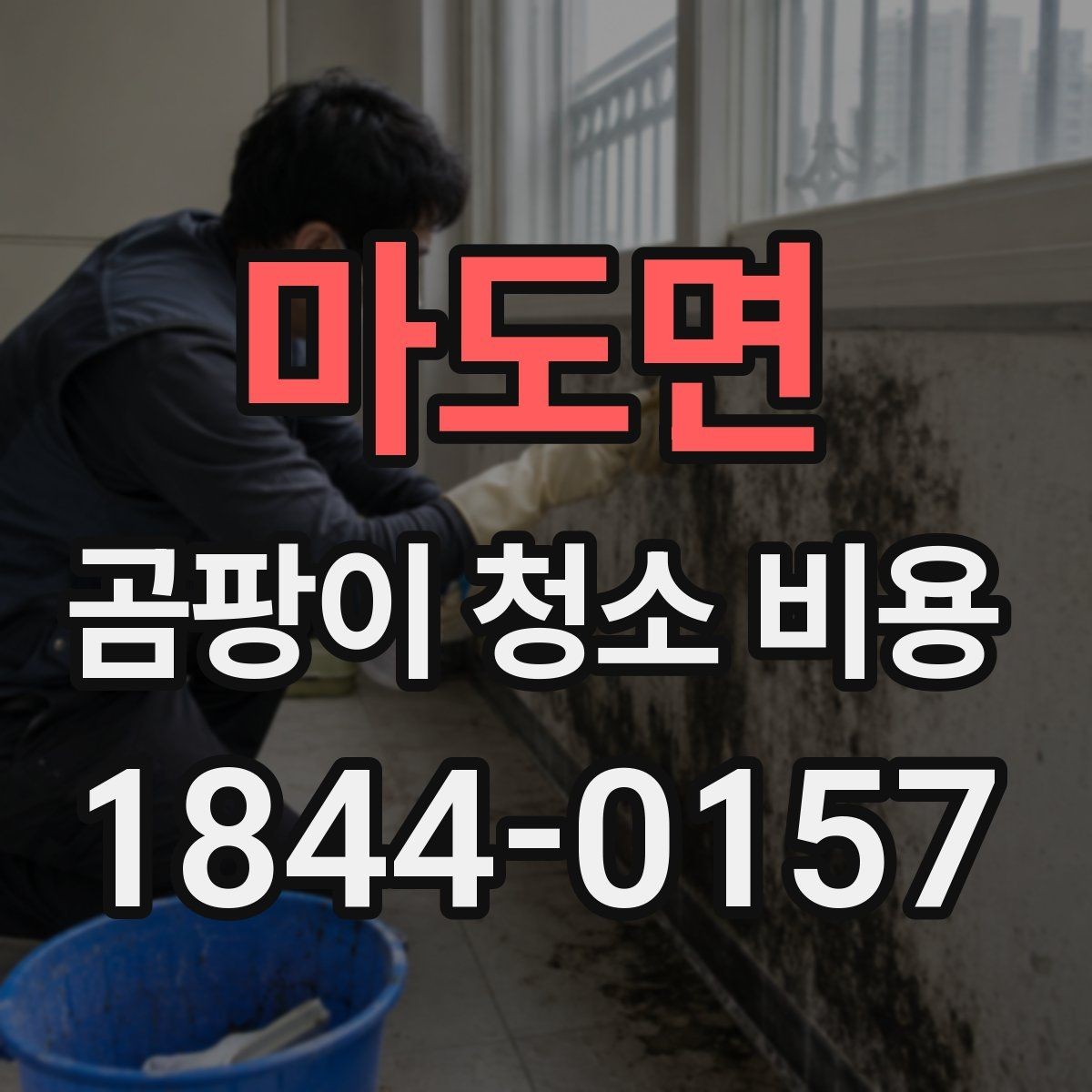 마도면 곰팡이 청소 비용 면적별 산정 기준과 사진으로 보는 범위