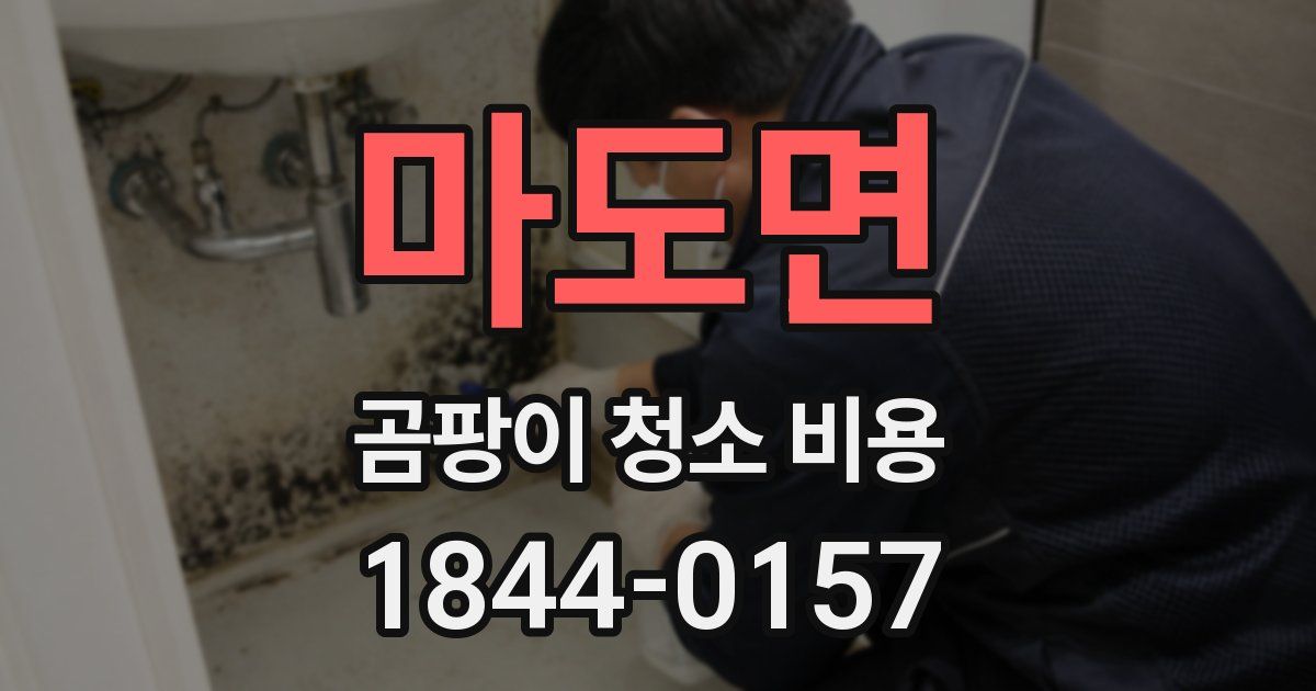 마도면 곰팡이 청소 비용