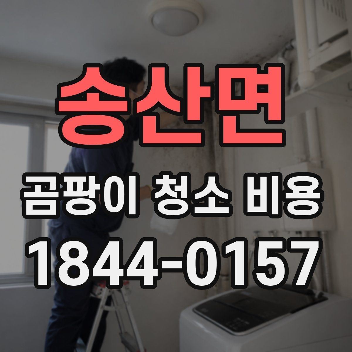 송산면 곰팡이 청소 비용 욕실과 베란다 오염 범위가 넓을 때 보는 점