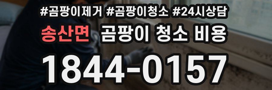 송산면 곰팡이 청소 비용
