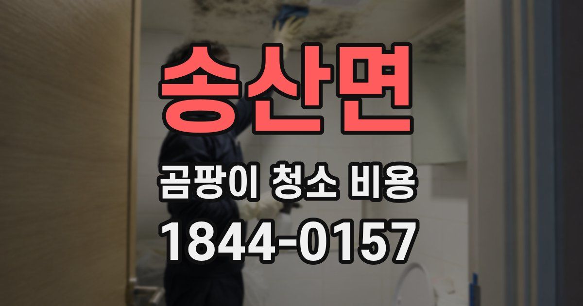 송산면 곰팡이 청소 비용