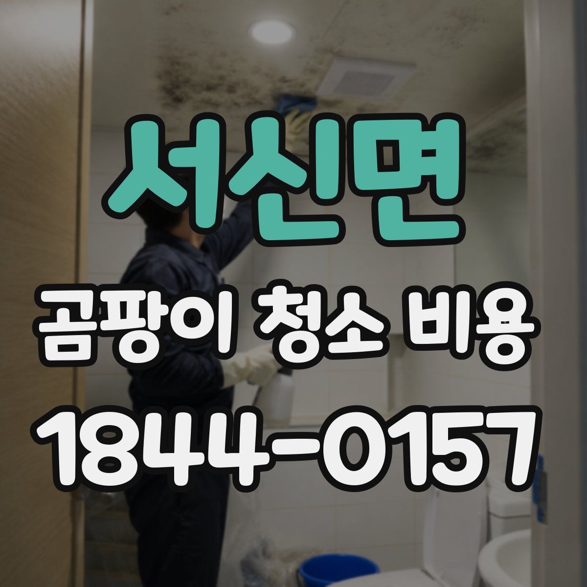 서신면 곰팡이 청소 비용