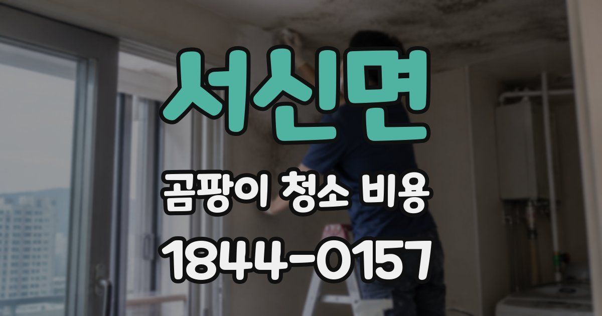 서신면 곰팡이 청소 비용