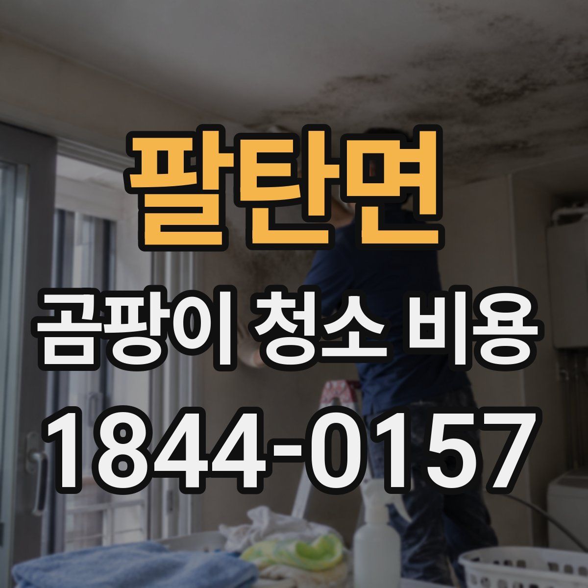 팔탄면 곰팡이 청소 비용