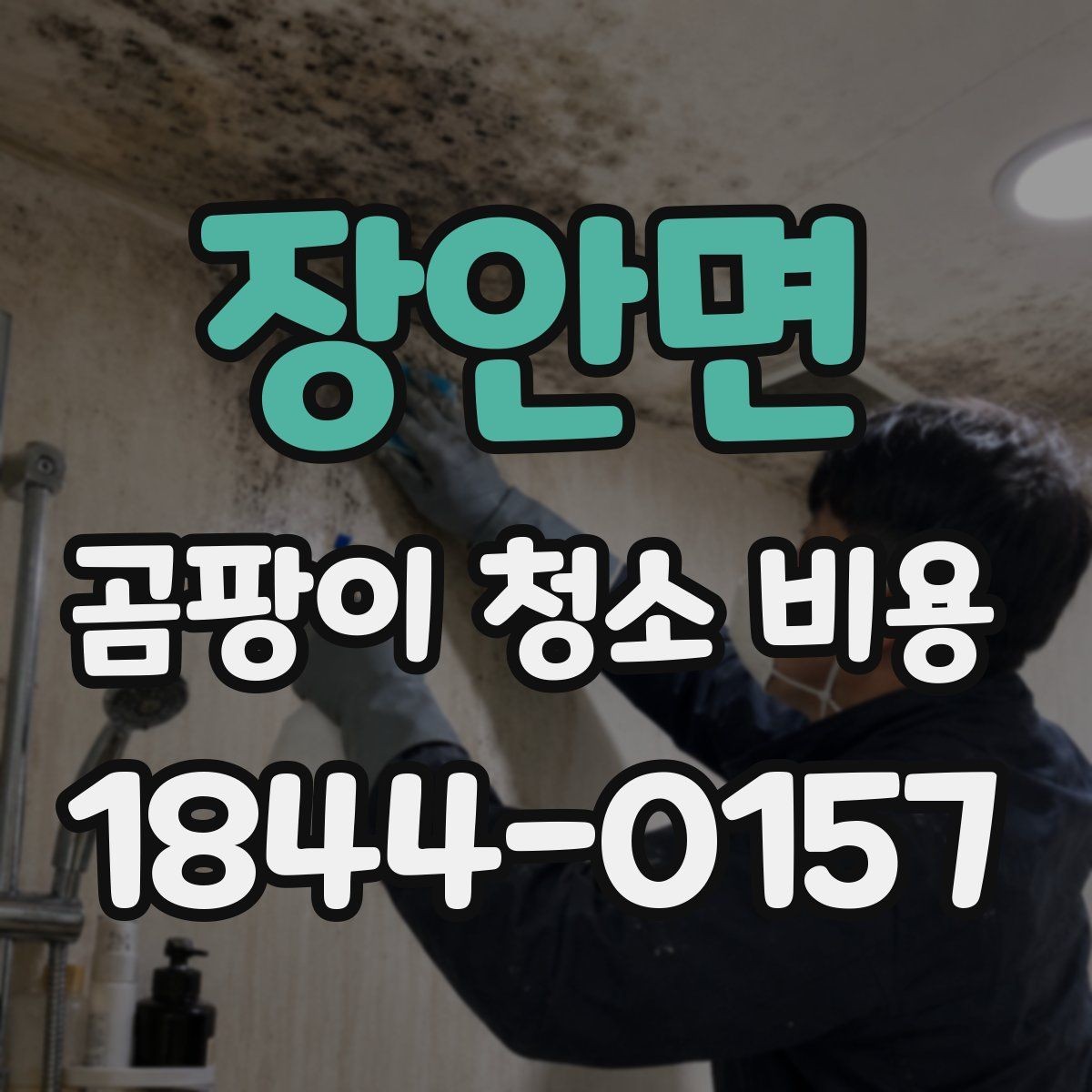 장안면 곰팡이 청소 비용 현장 인건비가 크게 달라지는 기준