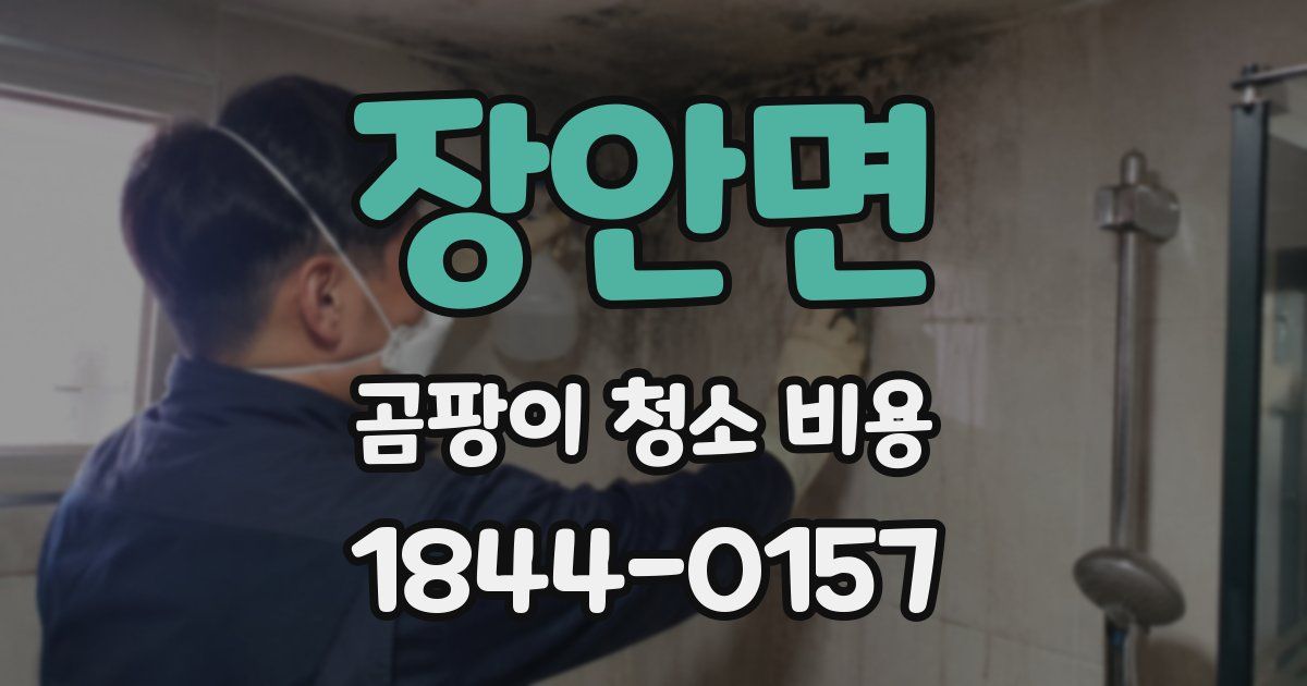 장안면 곰팡이 청소 비용