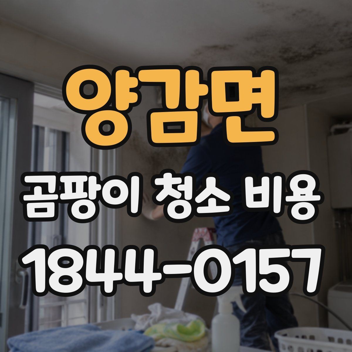 양감면 곰팡이 청소 비용 욕실 실리콘 곰팡이가 잘 생기는 환경 정리