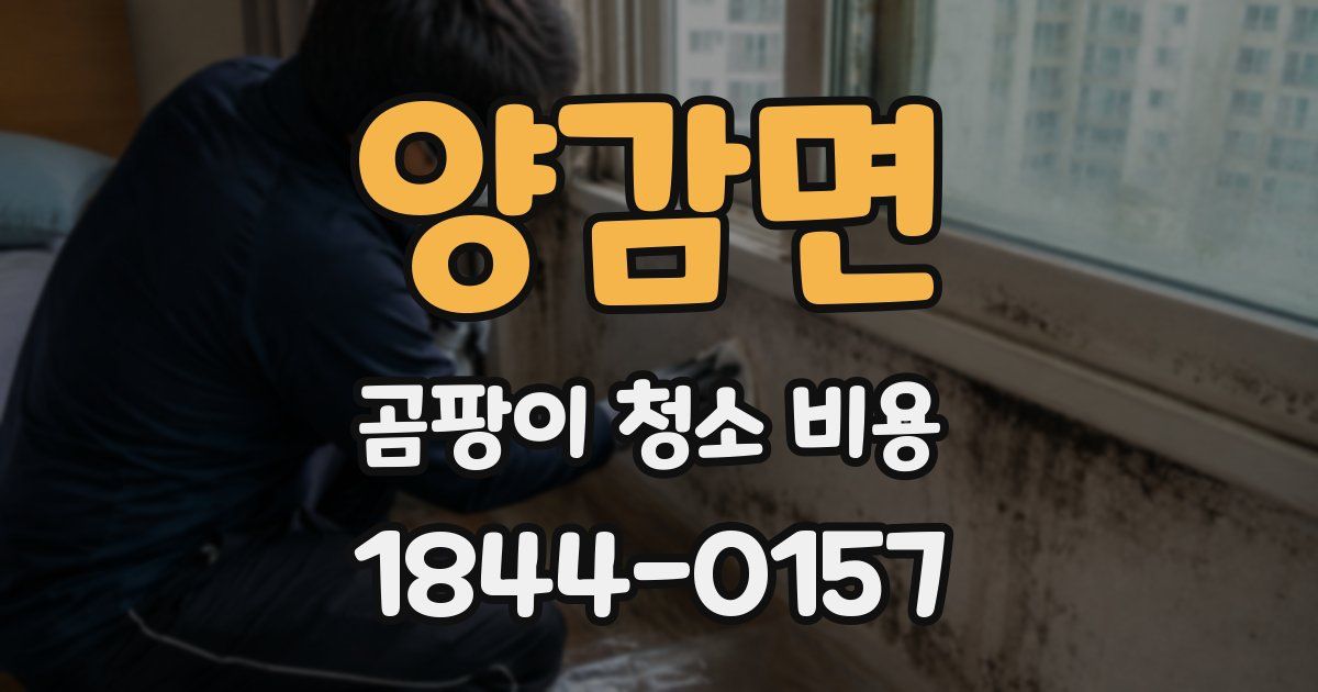 양감면 곰팡이 청소 비용