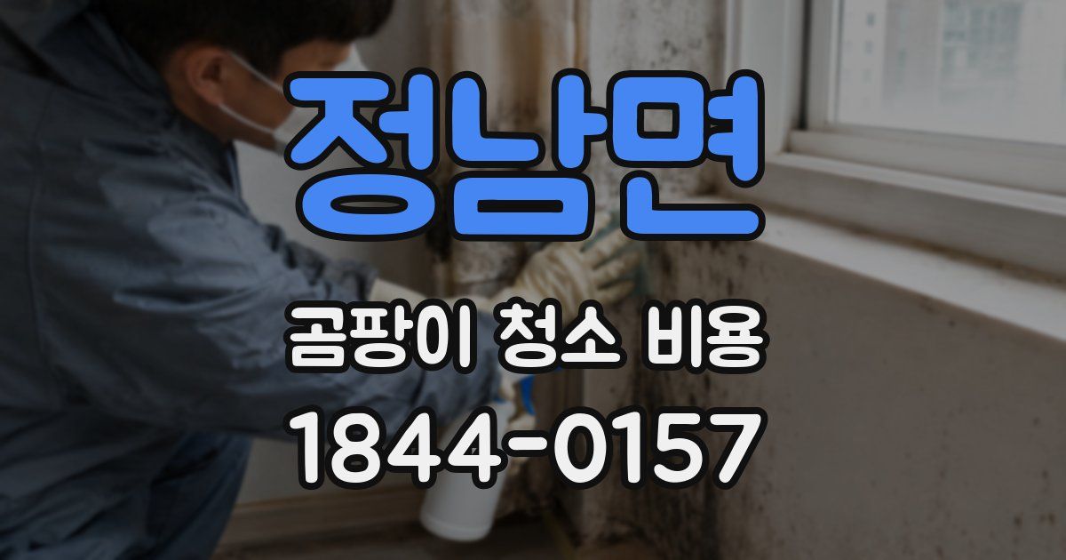 정남면 곰팡이 청소 비용