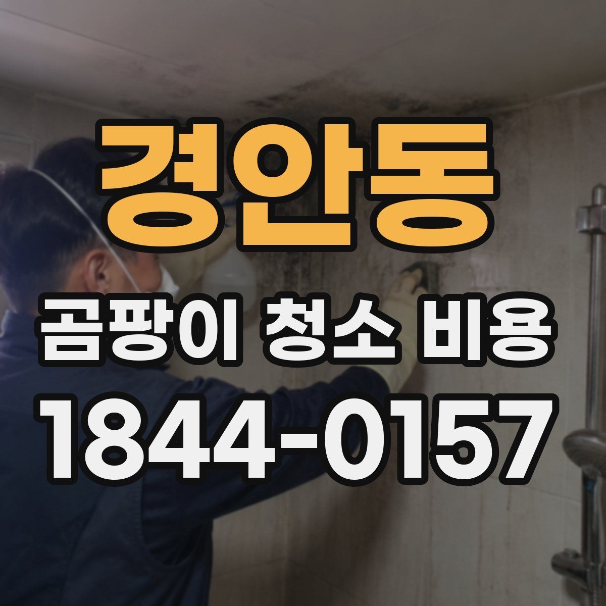 경안동 곰팡이 청소 비용 천장과 몰딩 주변이 더 손이 가는 이유